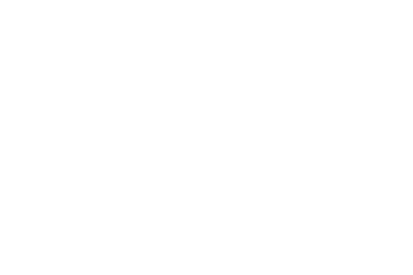Behold & Blossom Design Studio
